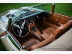 Thumbnail Photo 7 for 1964 Jaguar E-Type